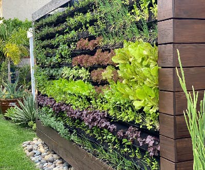 Vertical Gardening Service